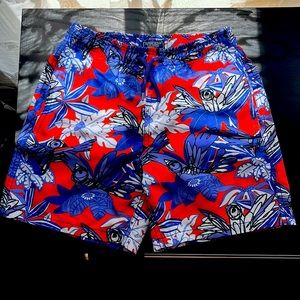 Vilebrequin Boys size 10 Bathing Suit